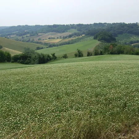Predio Potantino Farm stay *