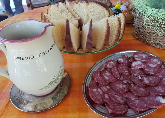 Bauernhof Predio Potantino *